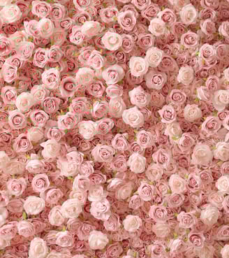 flower wall rental for weddings and events in Minnesota