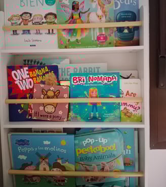 bookshelf with Bri Nomada book