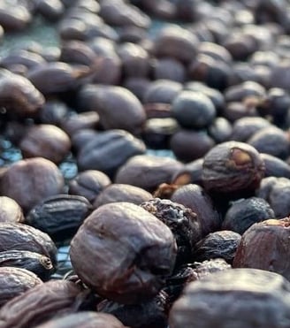 Natural Dopamine Coffee