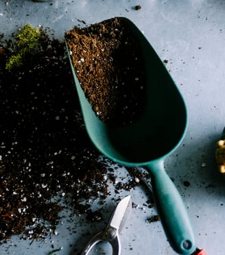 Compost in a scoop