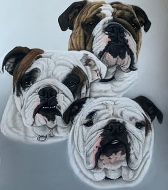 commission dog portrait