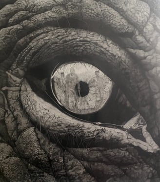 Oeuvre Éléphant