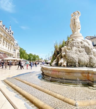 Estate vision montpellier