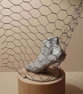 A sculpture of a single foot resting on toes, surrounded by wire netting, painted blue-greys