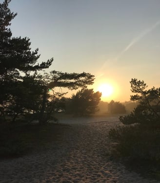 a sun setting on a beach with a path leading to the beach