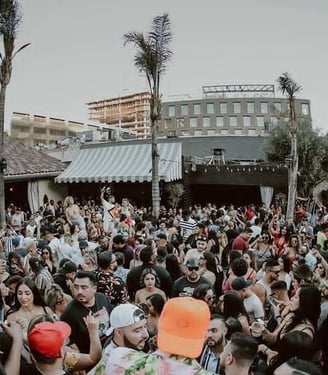 Large crowd at nightclub in with palm trees