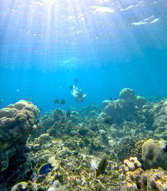 Jumeirah Olhahali Island Maldives snorkelling dive