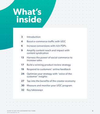 Image of e-book writing sample from Glen Cadorette: Table of Content page.