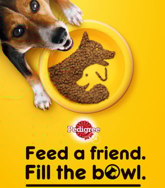 "Pedigree 'Feed a Friend. Fill the Bowl.' campaign visual showing a happy dog looking up beside a ye