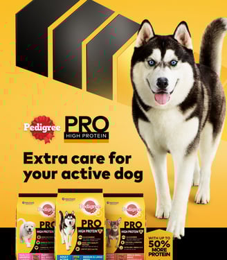 "Pedigree Pro High Protein campaign visual featuring a smiling Siberian Husky and a lineup of Pedigr