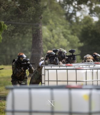 Dažasvydis dazasvydis paintball