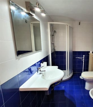 a bathroom with a blue tile floor and a shower