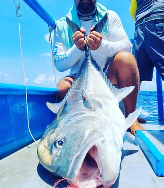 Latham Island Giant Trevally on the boat