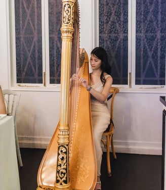 A harp solo performance for a wedding held at The Summerhouse restaurant