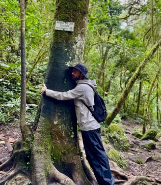 Columbian Rainforest - Hugging tree