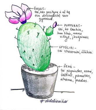 schema kaktusas savianalizė