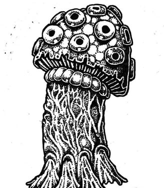 Shrieker