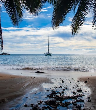 boat on sea and view from palm trees