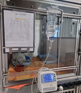 vet_animal_cage_new_door_infusion_machine_hanging