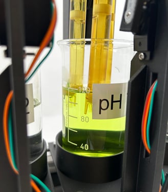 pH Elektroden in einer pH Pufferlösung in einer automatisierten Kalibrierun und Messsmaschine