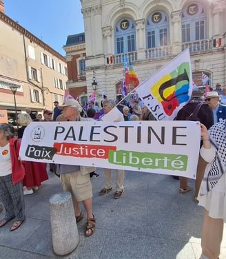 Manifestation de l'AFPS à Albi