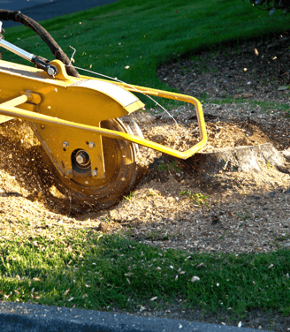 Stump Grinding