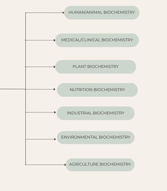 Branches of biochemistry