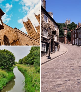 dog walking Lincoln prices