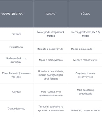 diferenças entre o sexo iguana