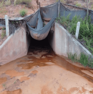 passagem de gado destruida
