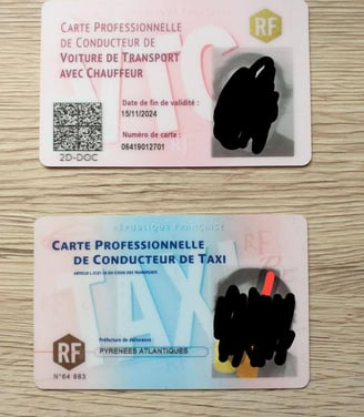carte professionnelle vtc, taxi, camion, professional card for VTC, taxi, truck