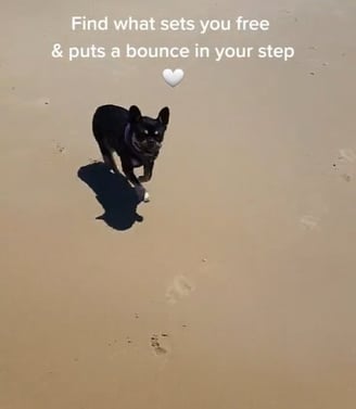 Find what sets you free & puts a bounce in your step!