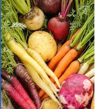 Colourful root vegetable selection, multi-colour carrots, beets, potatoes from Poplar Bluff Organics