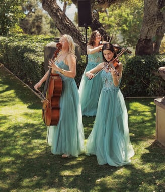 Live musicians performing at a wedding reception at Finca Santa Katerina