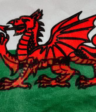 welsh dragon
