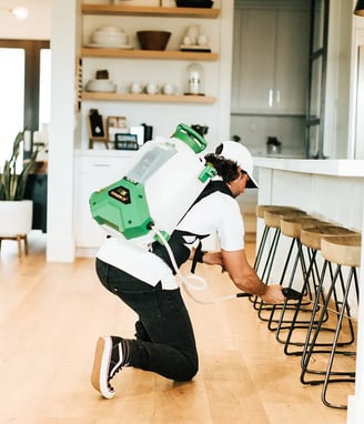 Interior Pest Control Treatment in Arizona