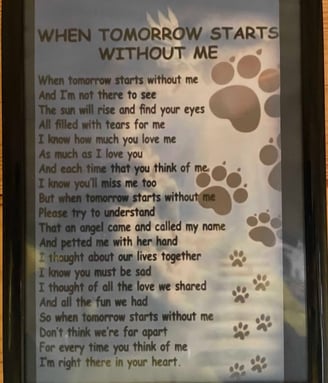When, a poem, the loss of my dog, my friend