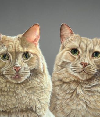 commission pet portrait
