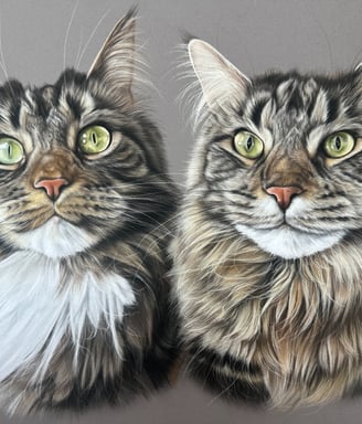 Pet portrait commission