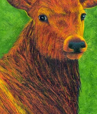 Acrylic painting of a stag deer
