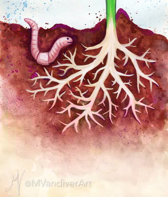 Illustrations from The Rose Without A Name by New Orleans artist Melissa Vandiver.