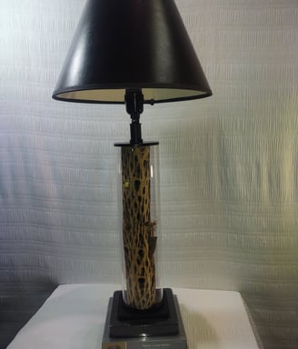 Cholla Cactus lamp