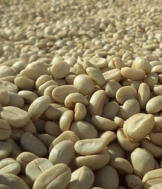 Lavado Dopamine Coffee