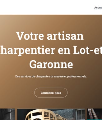 a website page with a picture of a caricare