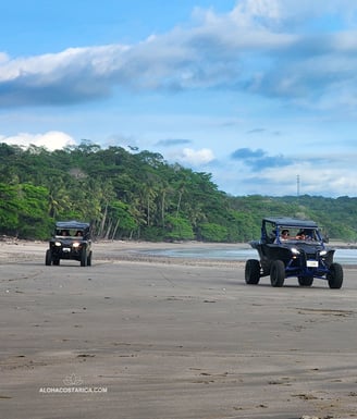 two people riding atvs on a beach