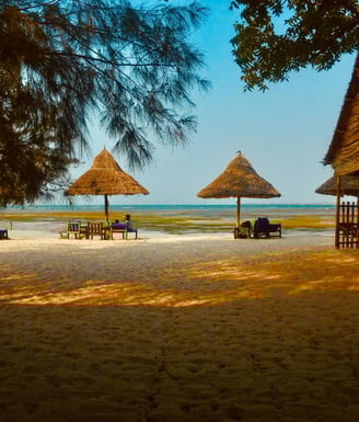 Travel destination recommendation by tripvibe.net- Africa