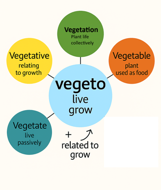 Vegeto root word chart Word Power Made Easy