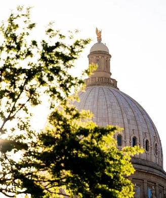 The Idaho state capital building behind trees on a sunny day.