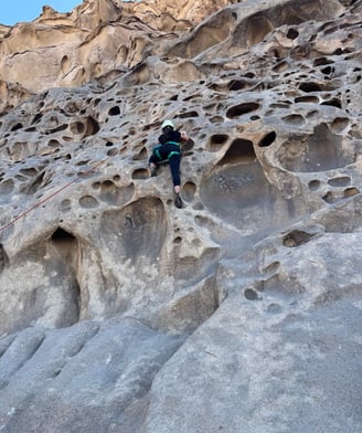 desert-rock-resort-rockclimbing