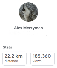 Google Street View statistics page